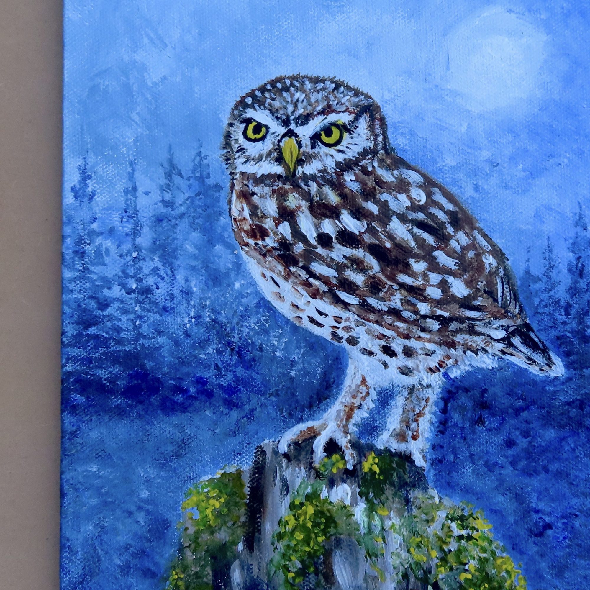Little Owl