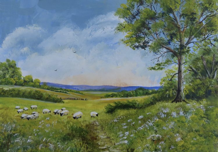 Sheep in the Cotswolds